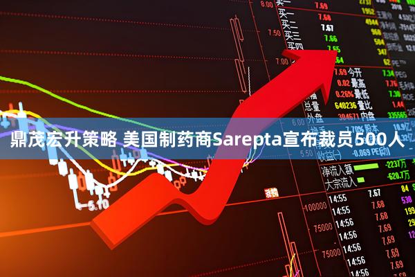 鼎茂宏升策略 美国制药商Sarepta宣布裁员500人