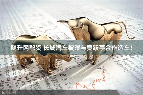 飚升网配资 长城汽车被曝与贾跃亭合作造车！