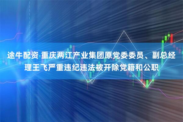 途牛配资 重庆两江产业集团原党委委员、副总经理王飞严重违纪违法被开除党籍和公职