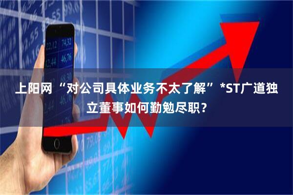 上阳网 “对公司具体业务不太了解” *ST广道独立董事如何勤勉尽职？